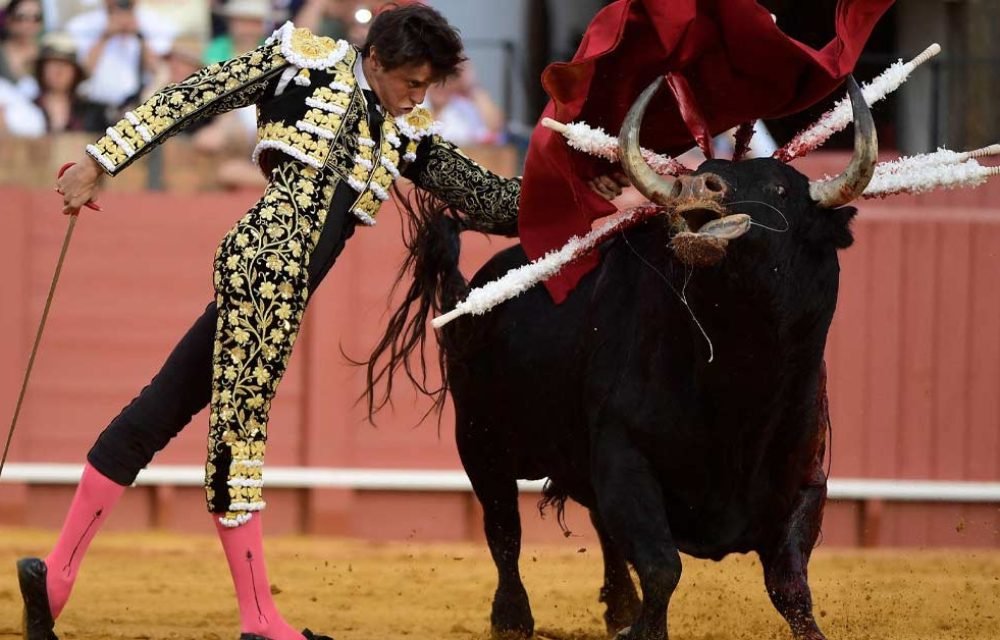TardesDeSoledad